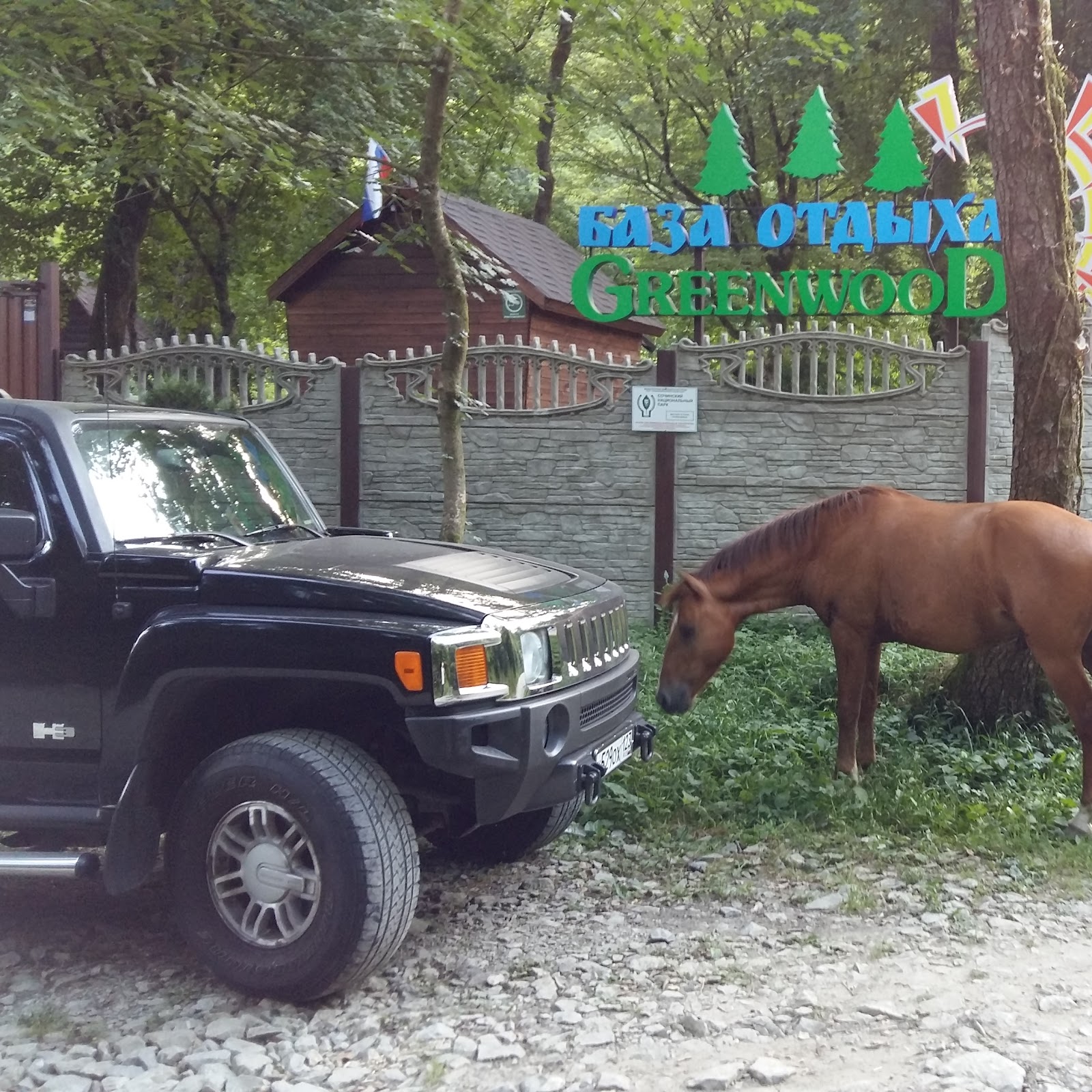 Дивноречье - photo 2