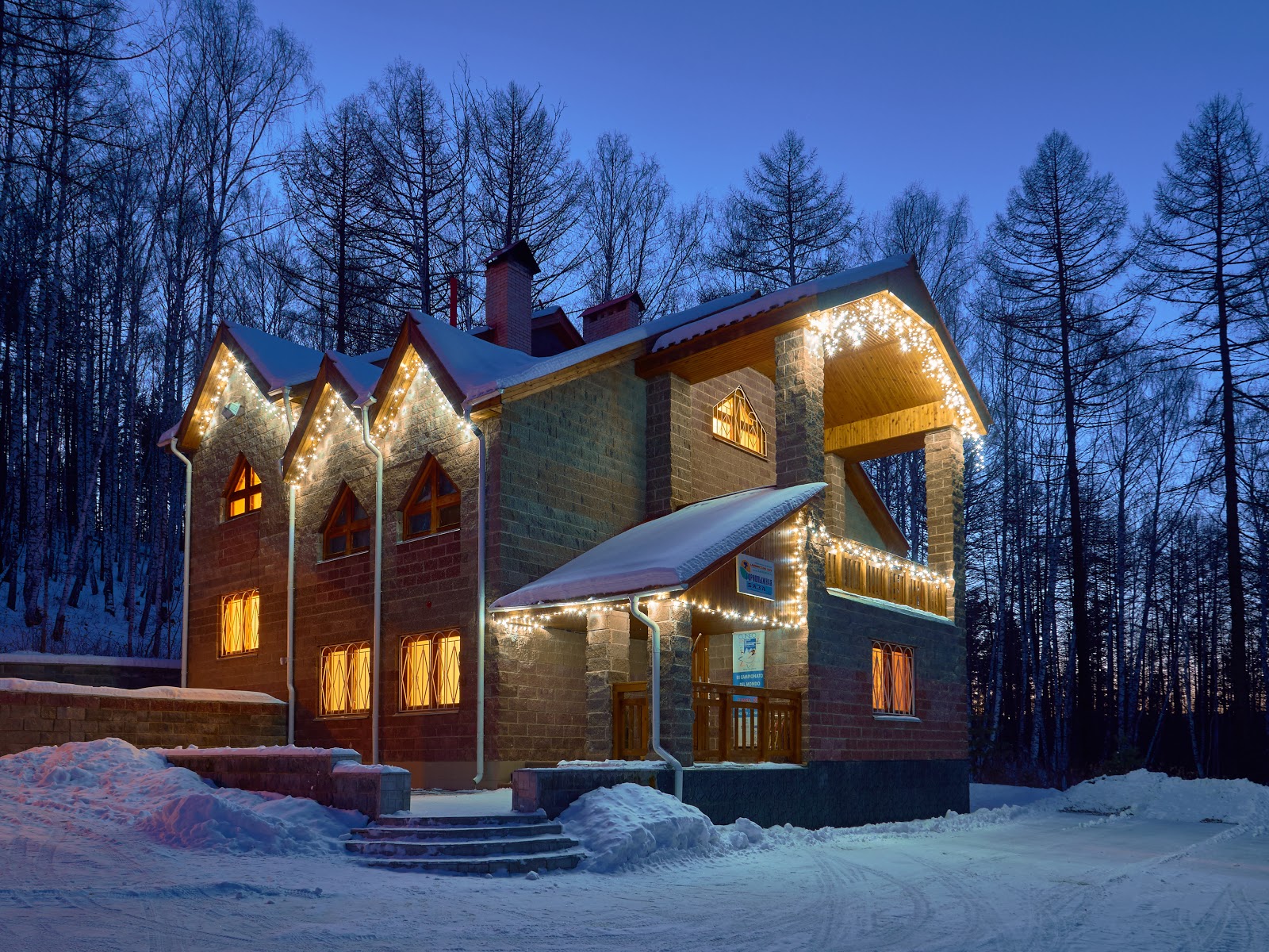 Снежный Барс