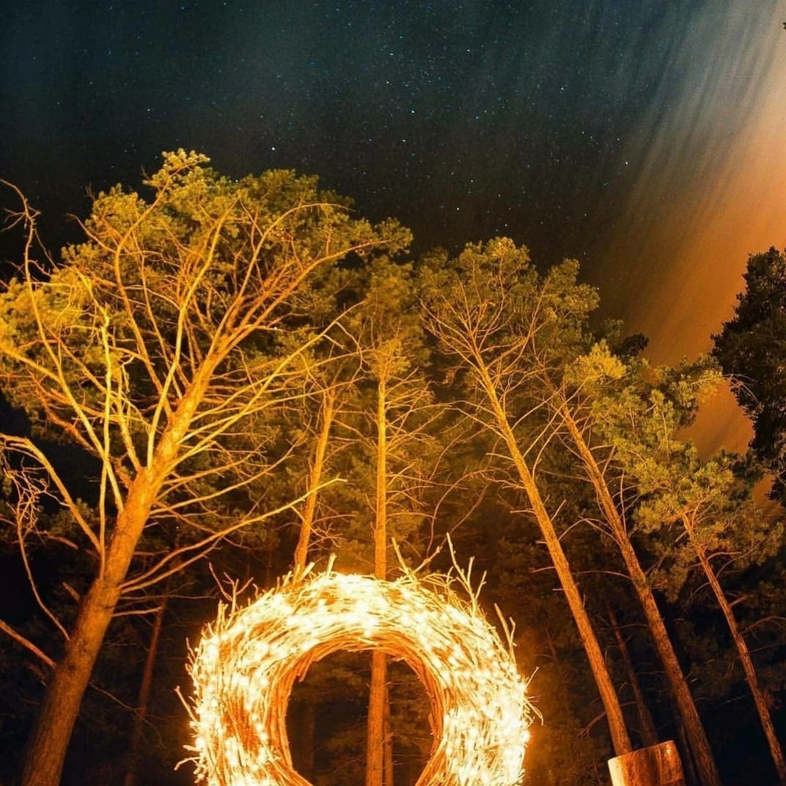 Робинзон - photo 5