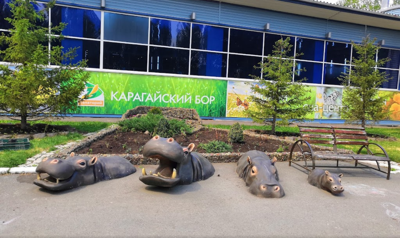 Карагайский бор - photo 1