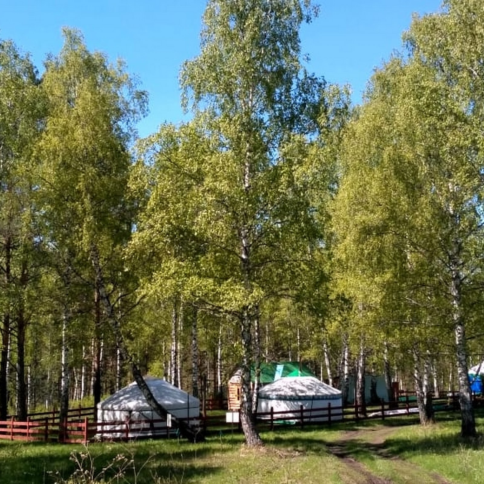 Юртовый кемпинг Шайтан-кудей - photo 2