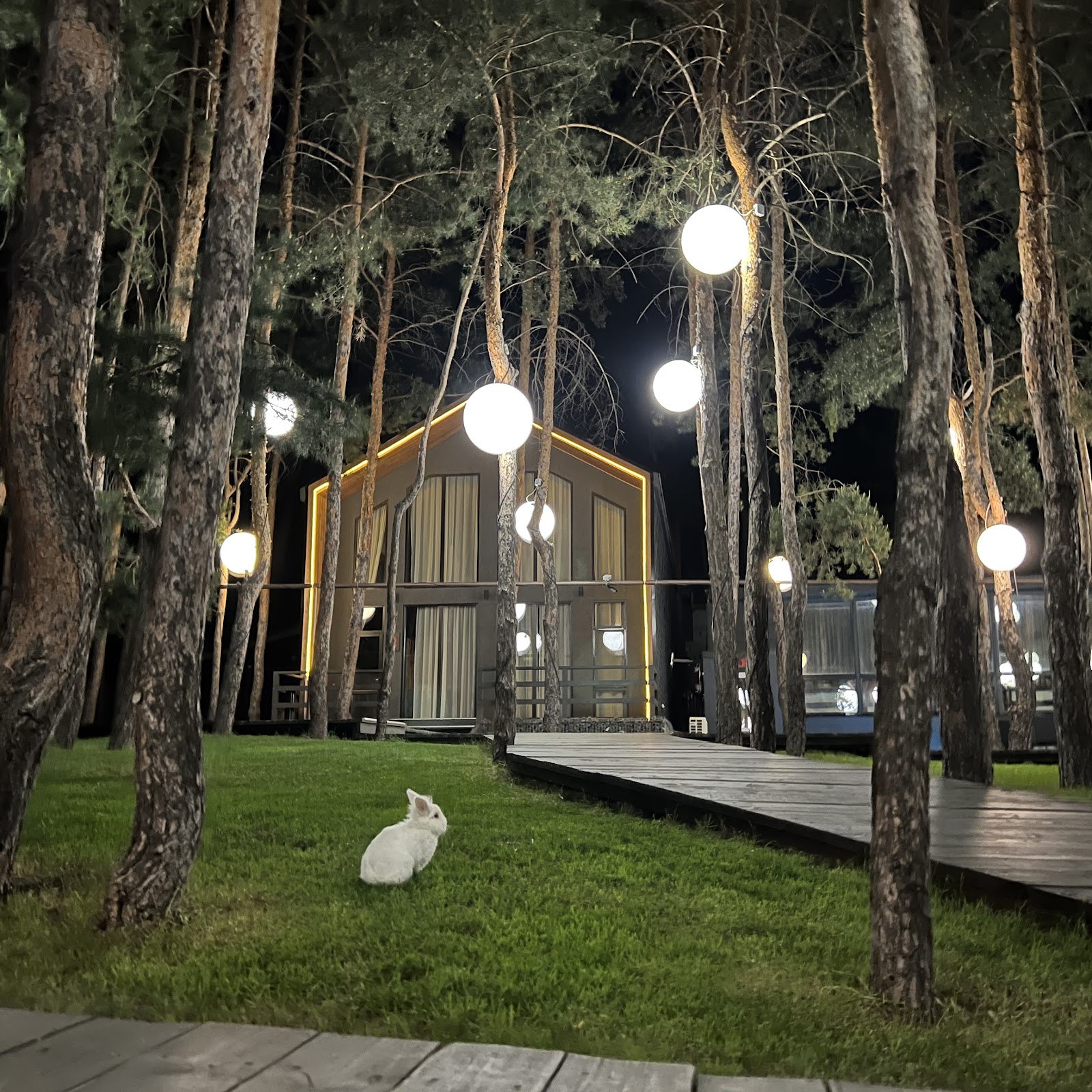 Турбаза Островок - photo 2