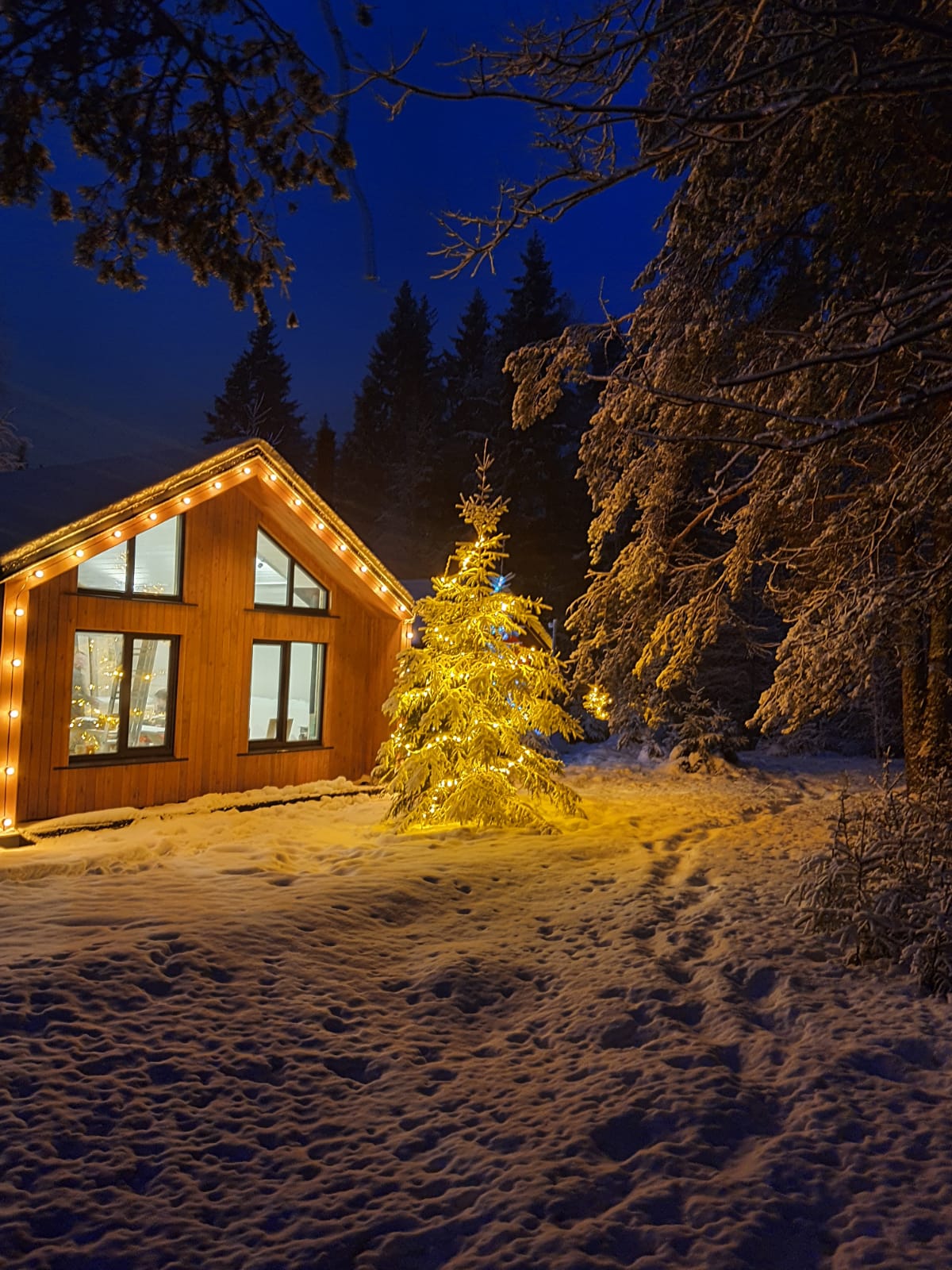 ДомДомВалдай - photo 2