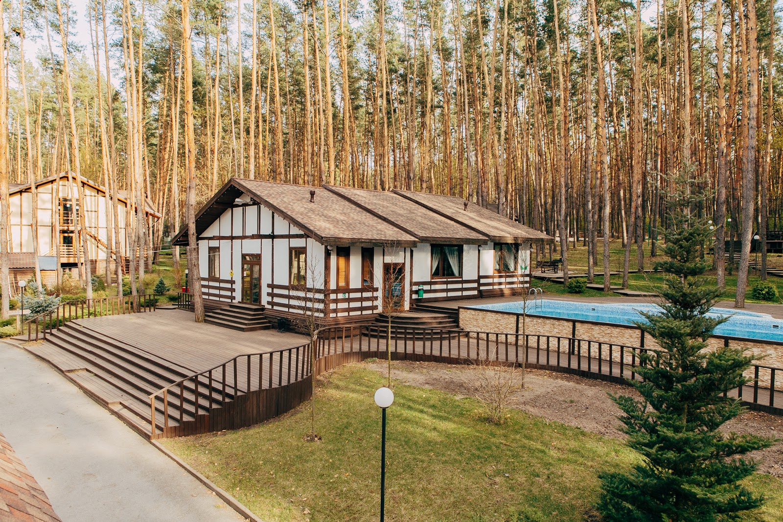 Донской Лес - photo 3