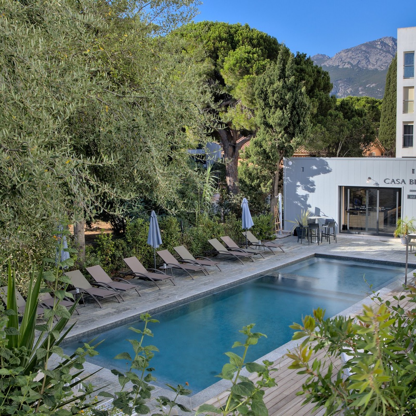 Гостиница «Северная Пальмира» - photo 5