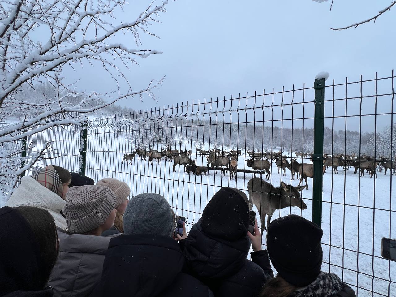 Лесная Слобода - photo 4