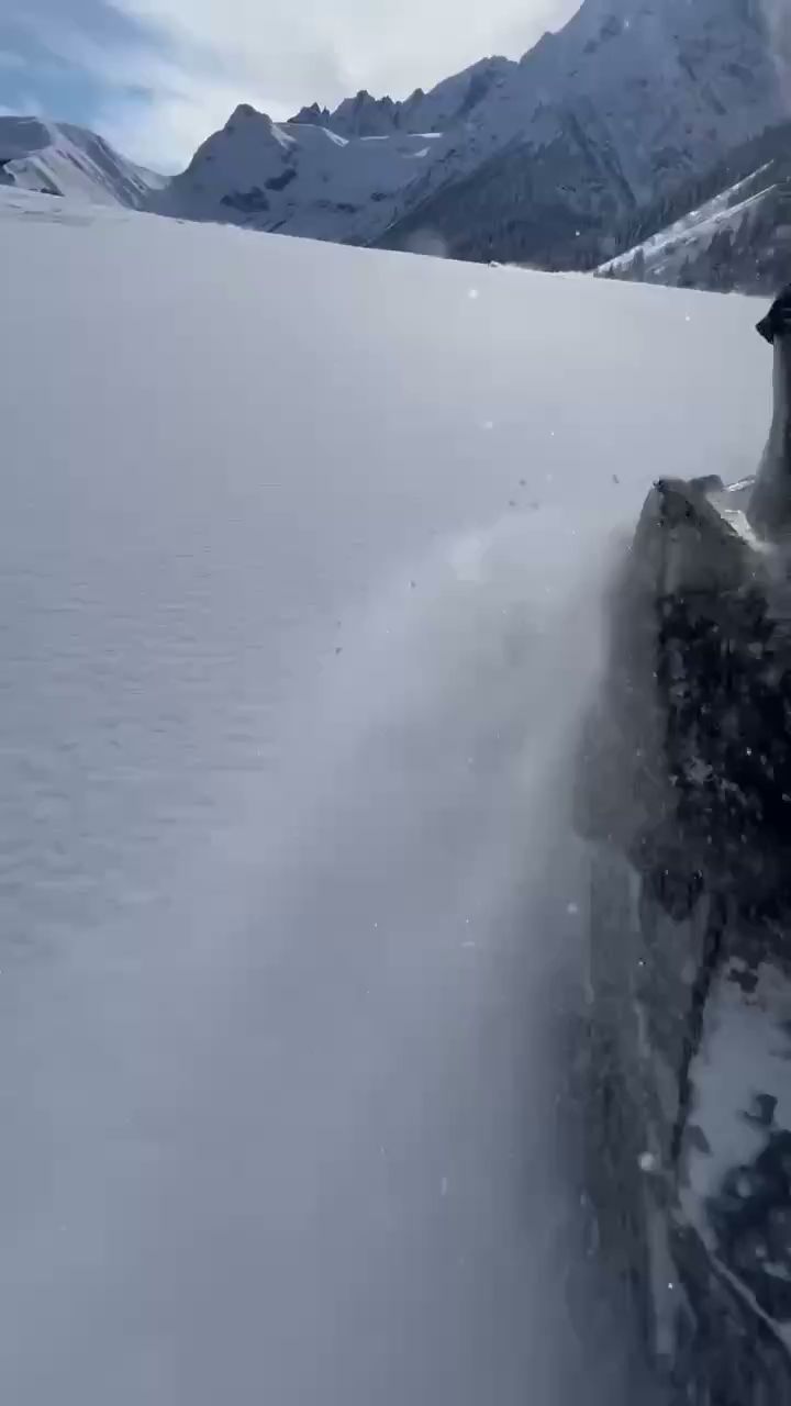 ОА Forest эко. - photo 3