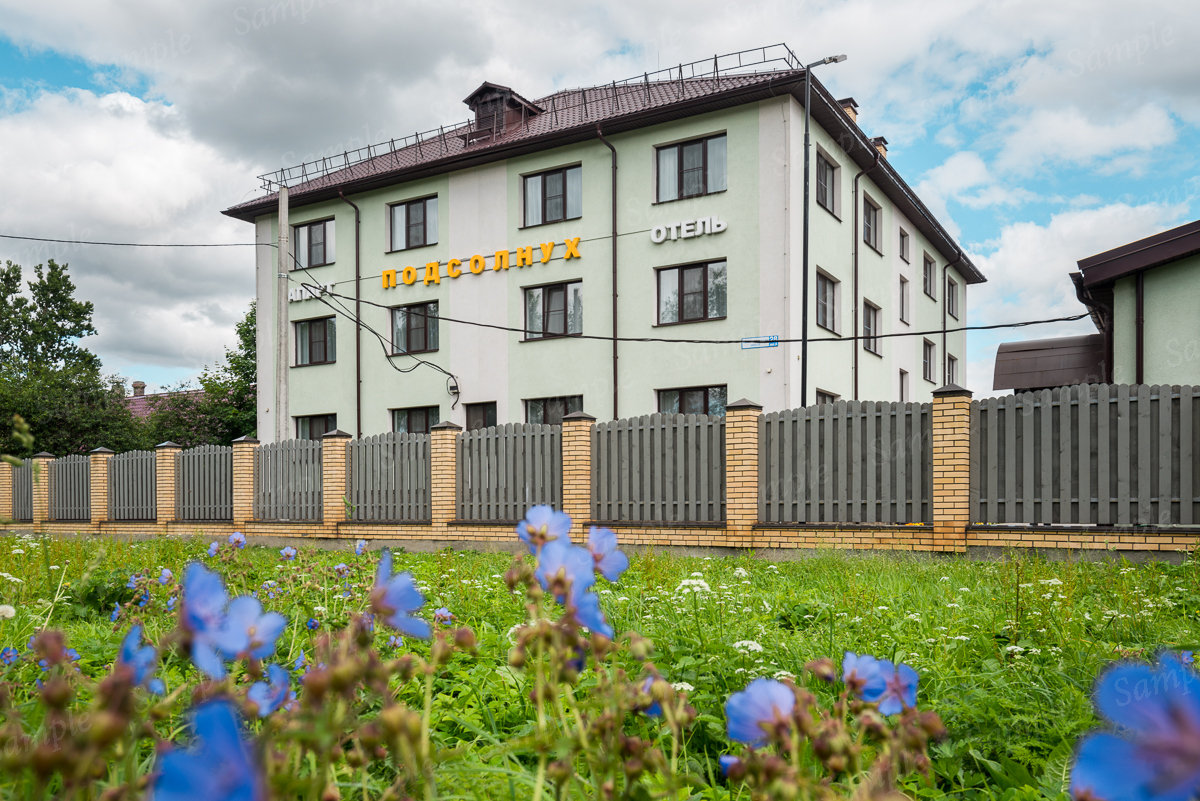 Апарт-отель "Подсолнух" - photo 4