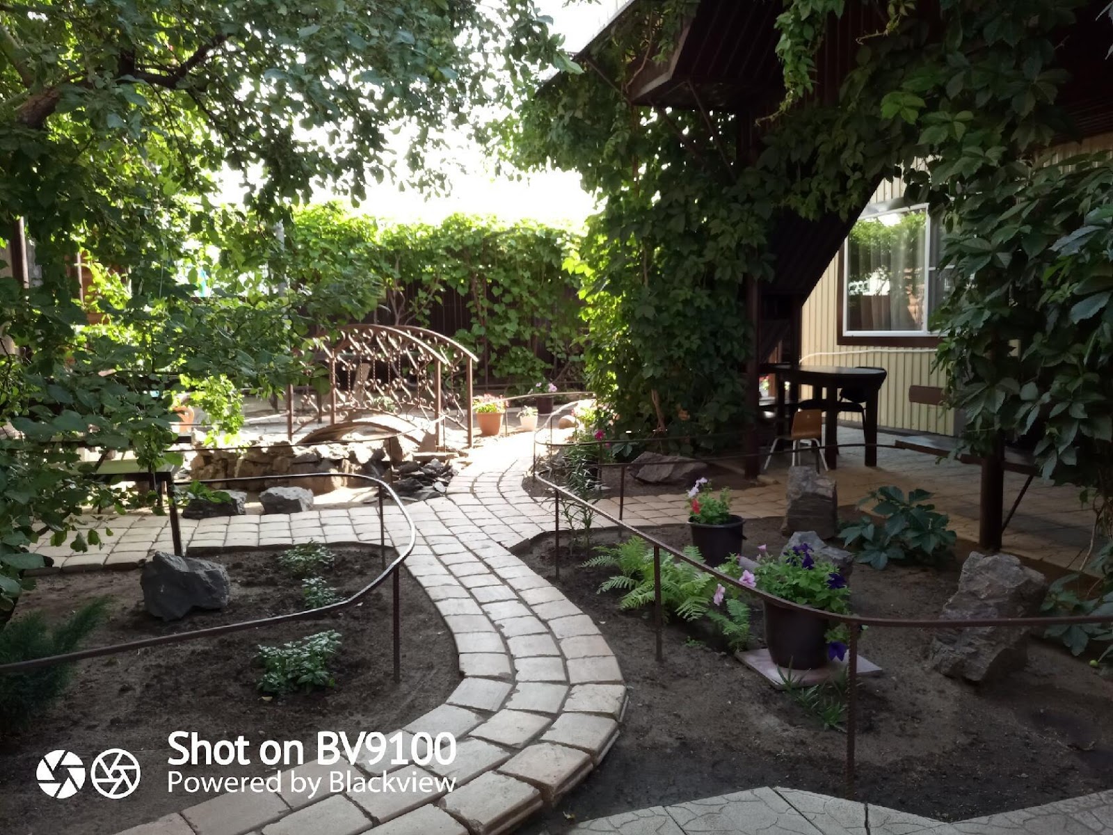 Усадьба Гнездышко - photo 2