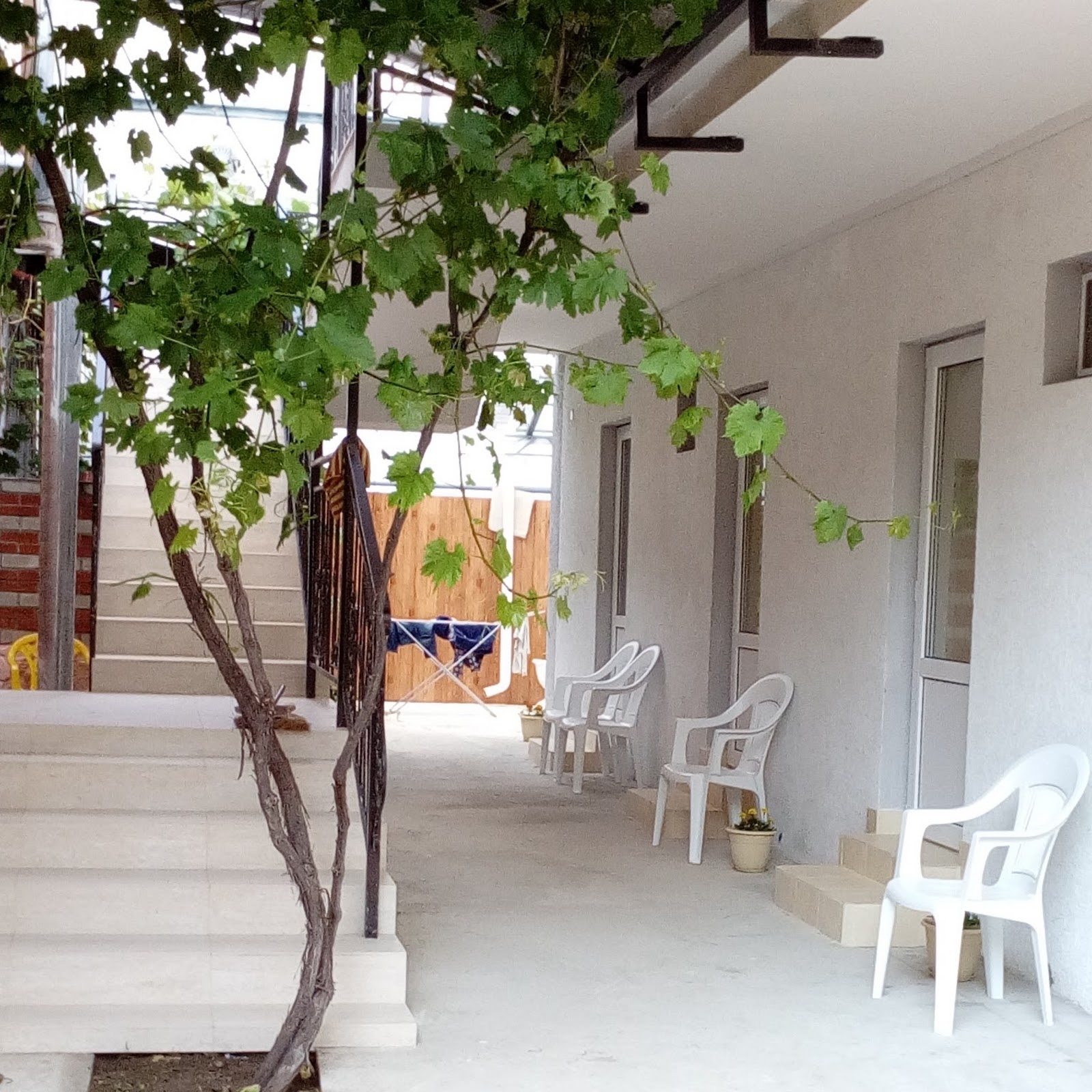 Лотос - photo 4