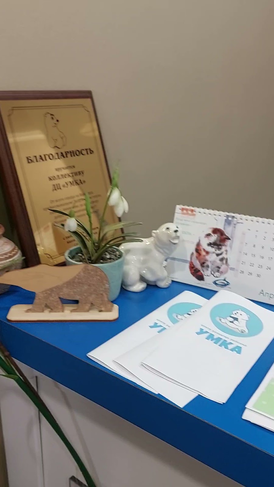 Детская развивающая программа «Курс наук под парусом» - photo 2