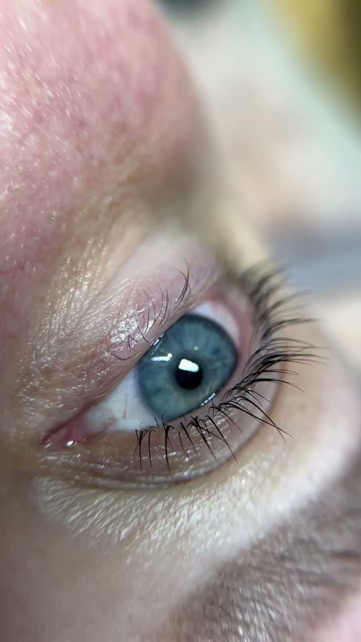 Пижма - photo 3