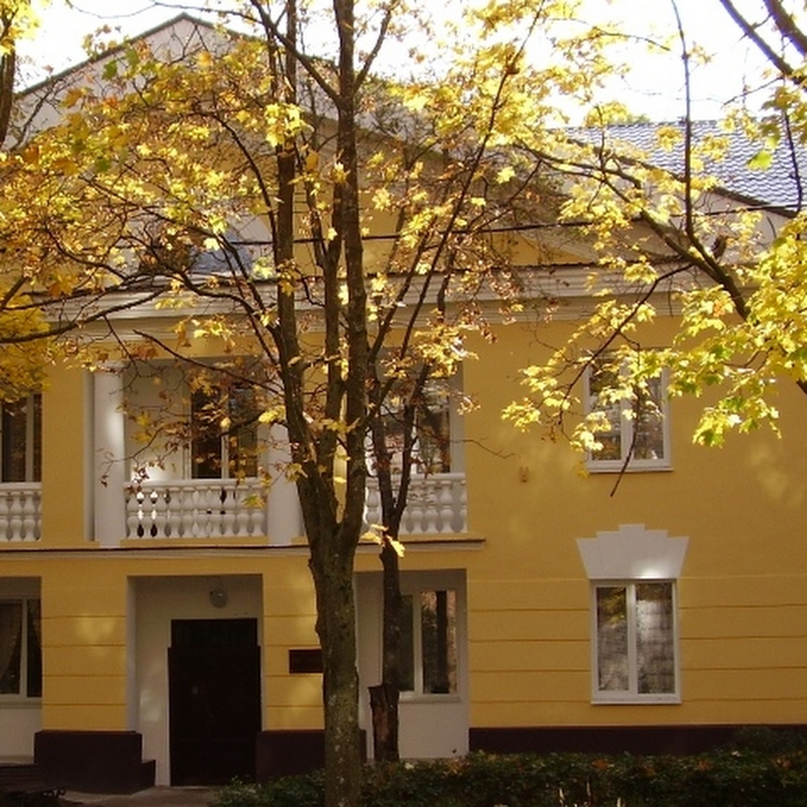 Хостел Невис