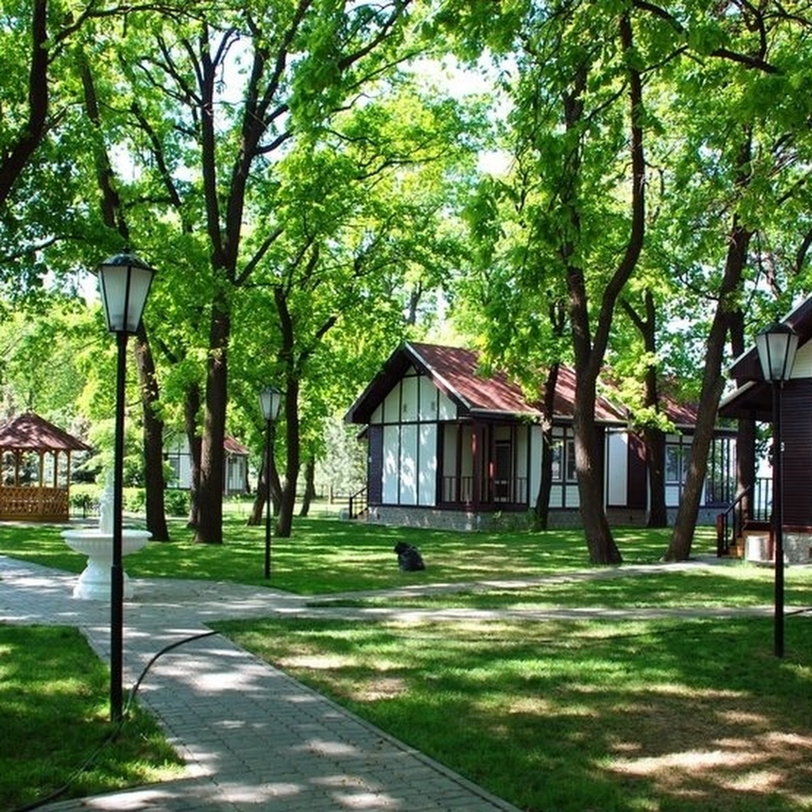 Олимпия, загородный клуб - photo 5