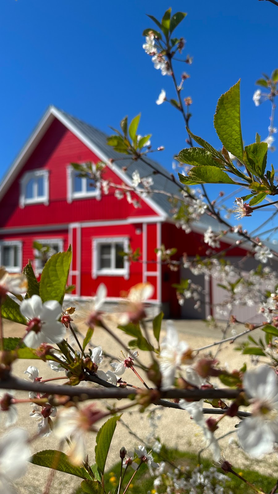 Гостевой дом "Александровский" - photo 2