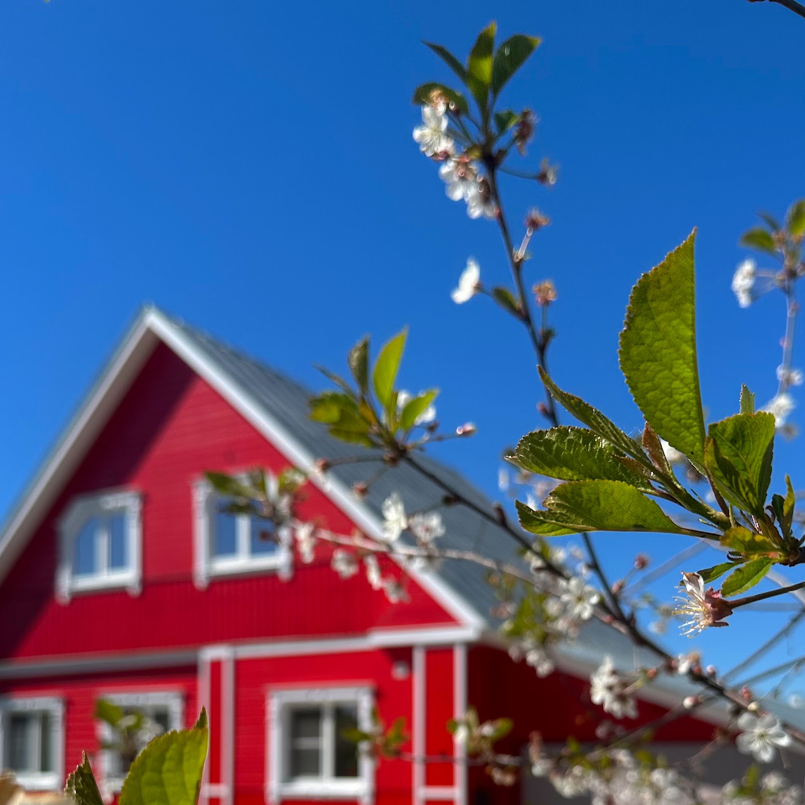 Гостевой дом "Александровский"