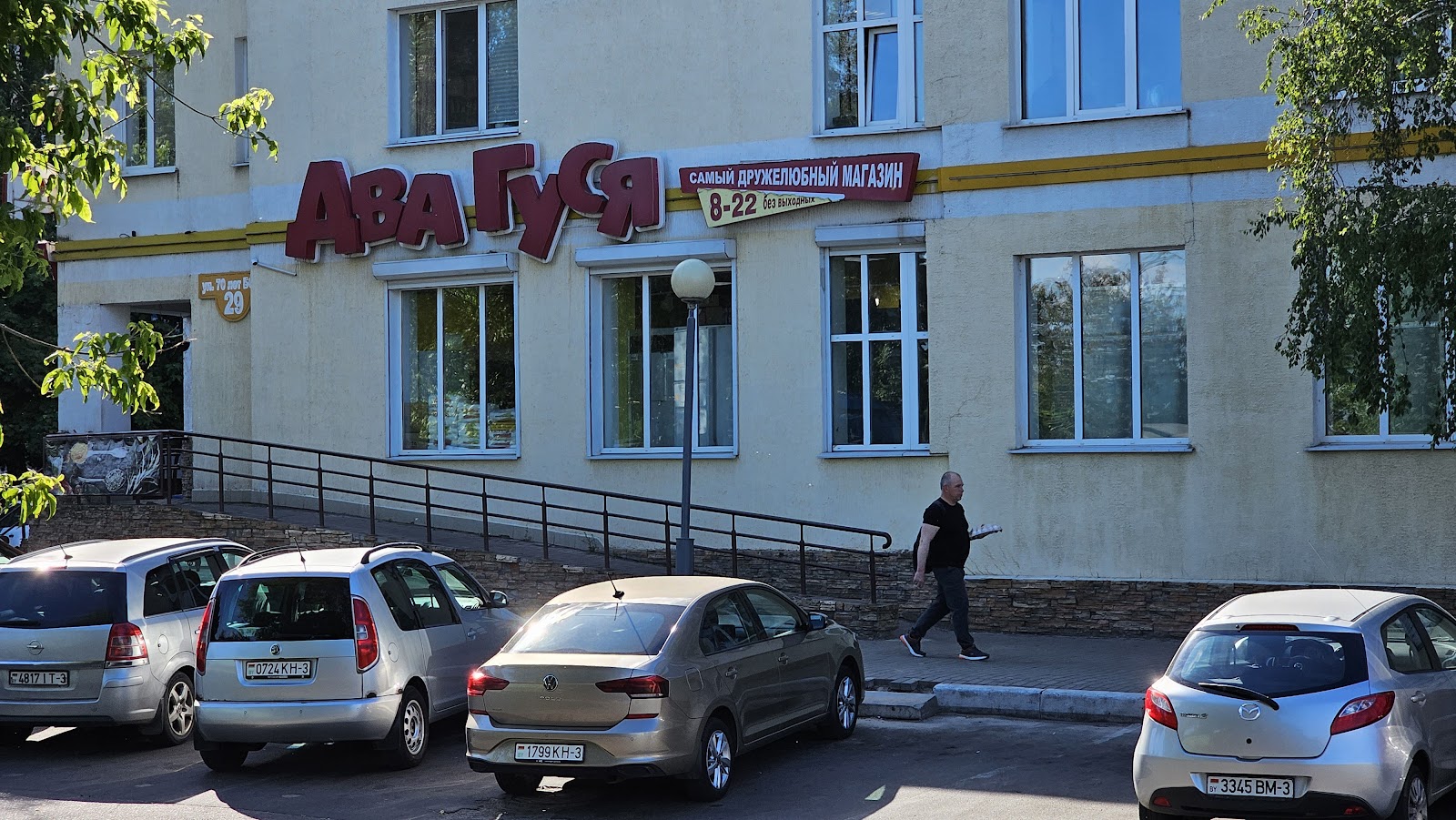 Два гуся - photo 2