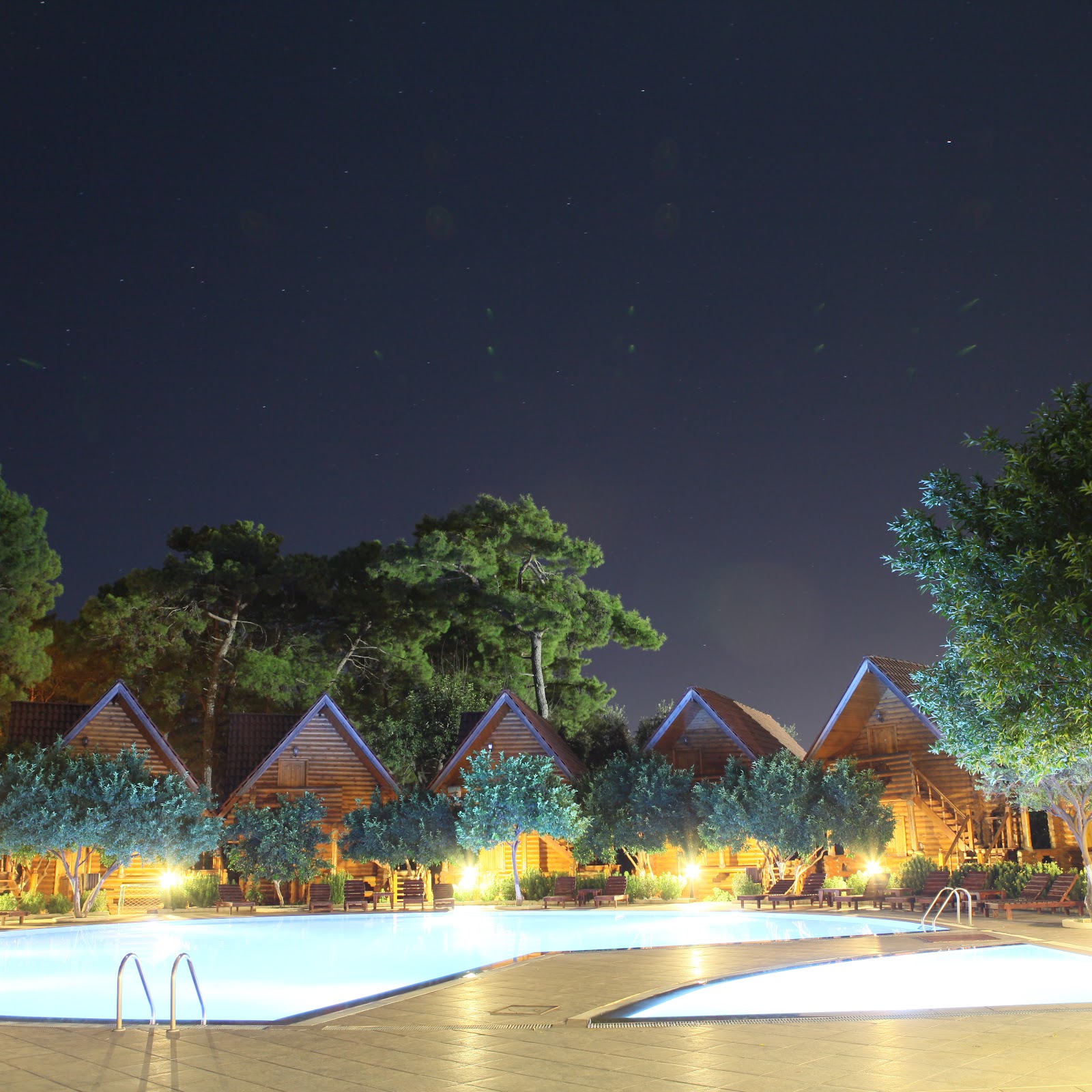 Форест - photo 1