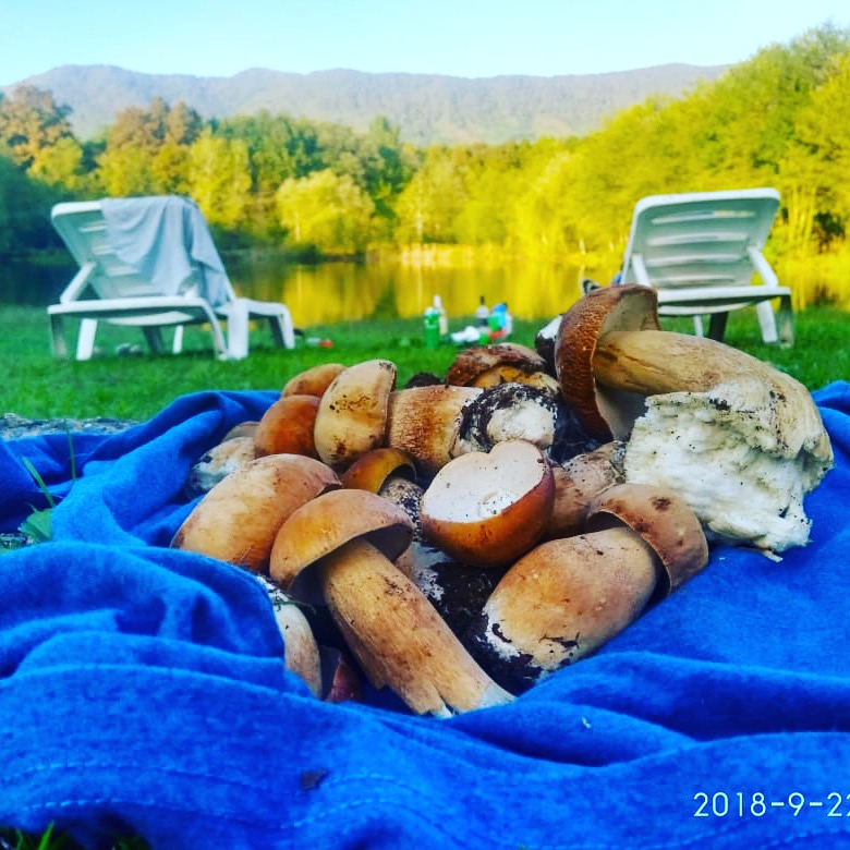 Терзиян - photo 5