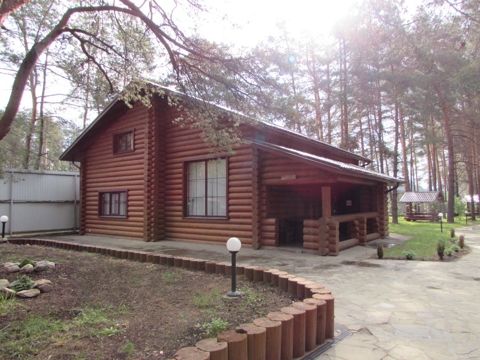 Сосновый бор на Оке