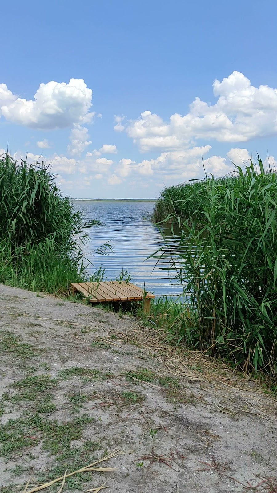 База отдыха "Юность" - photo 3