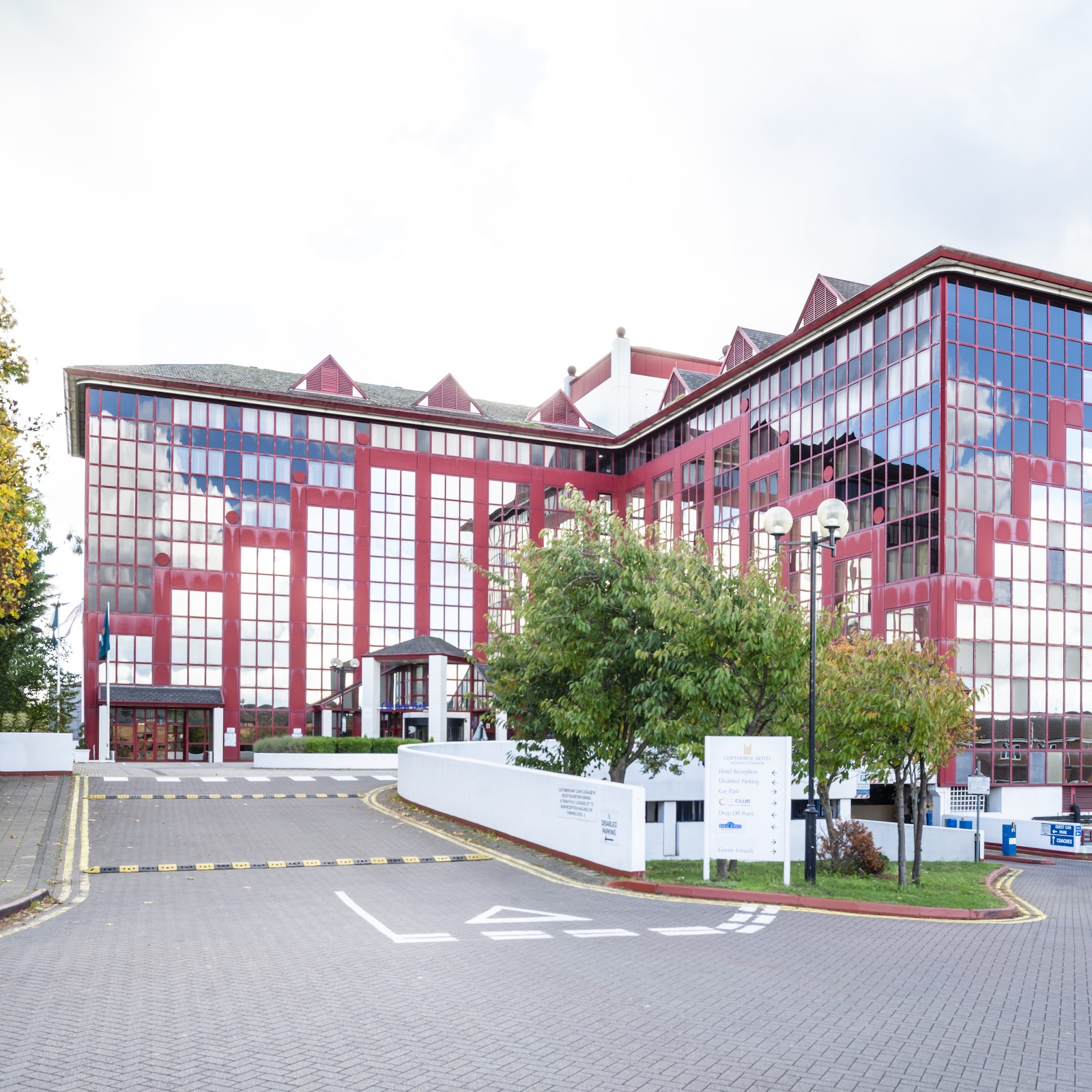 Клевер - photo 4