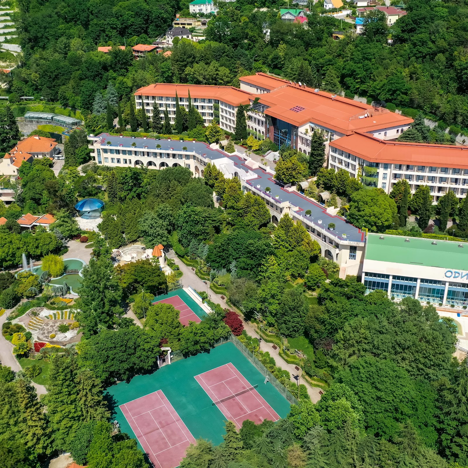 Лесная сказка - photo 2