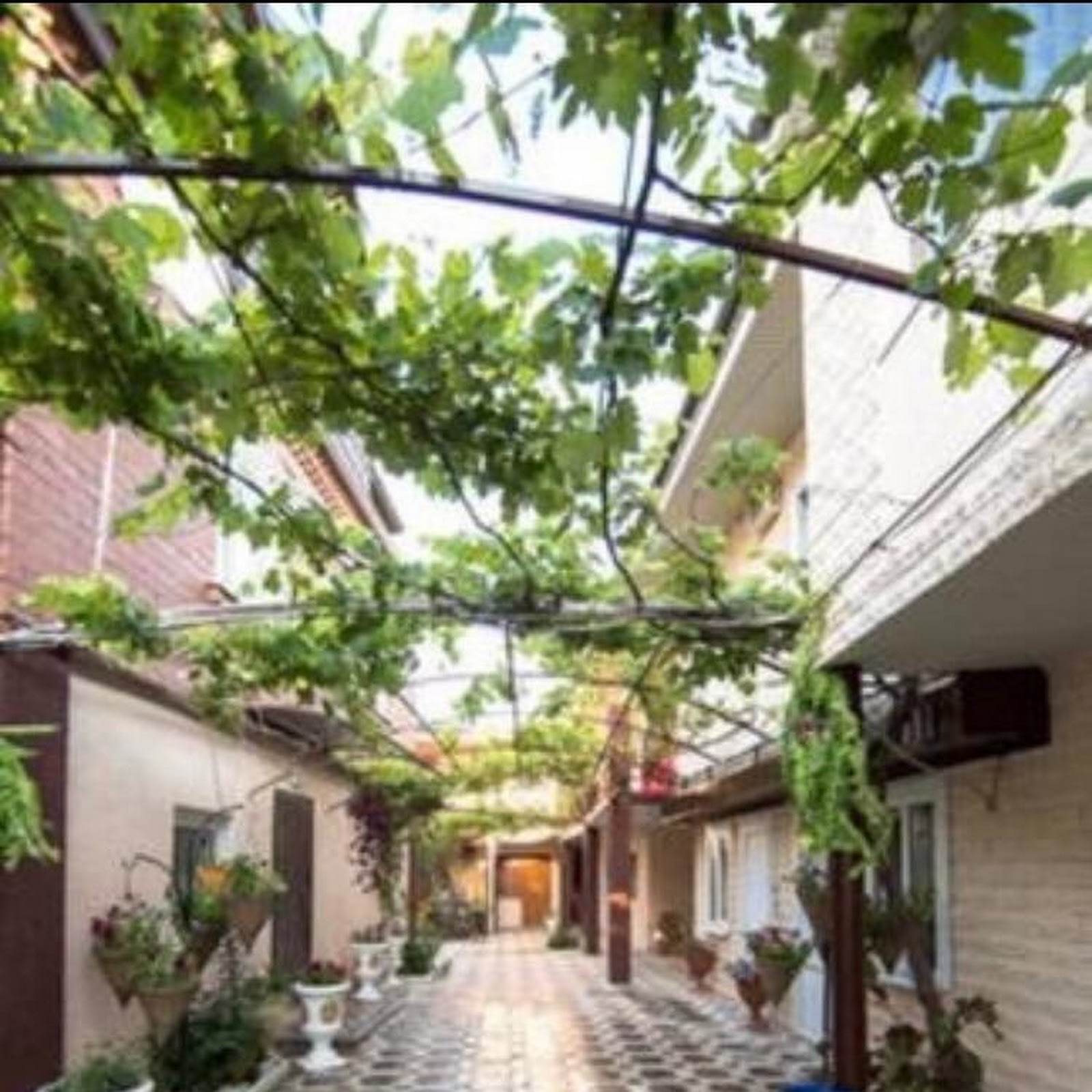 Гестия - photo 2