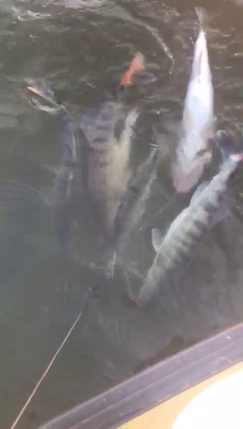 Верхнелебяжье fish resort (Верхнелебяжье, Астраханская обл.) - photo 4