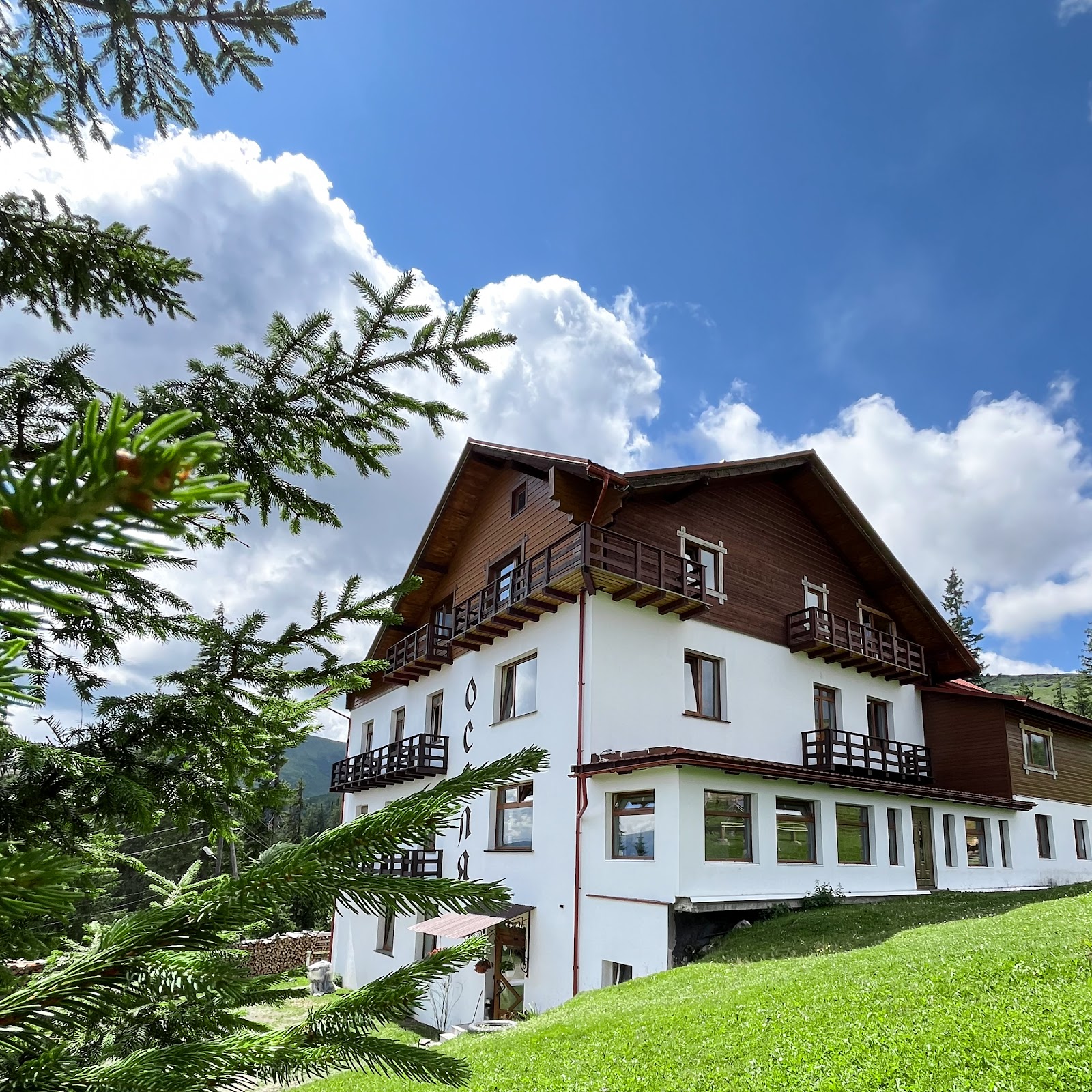 У Роберта - photo 4