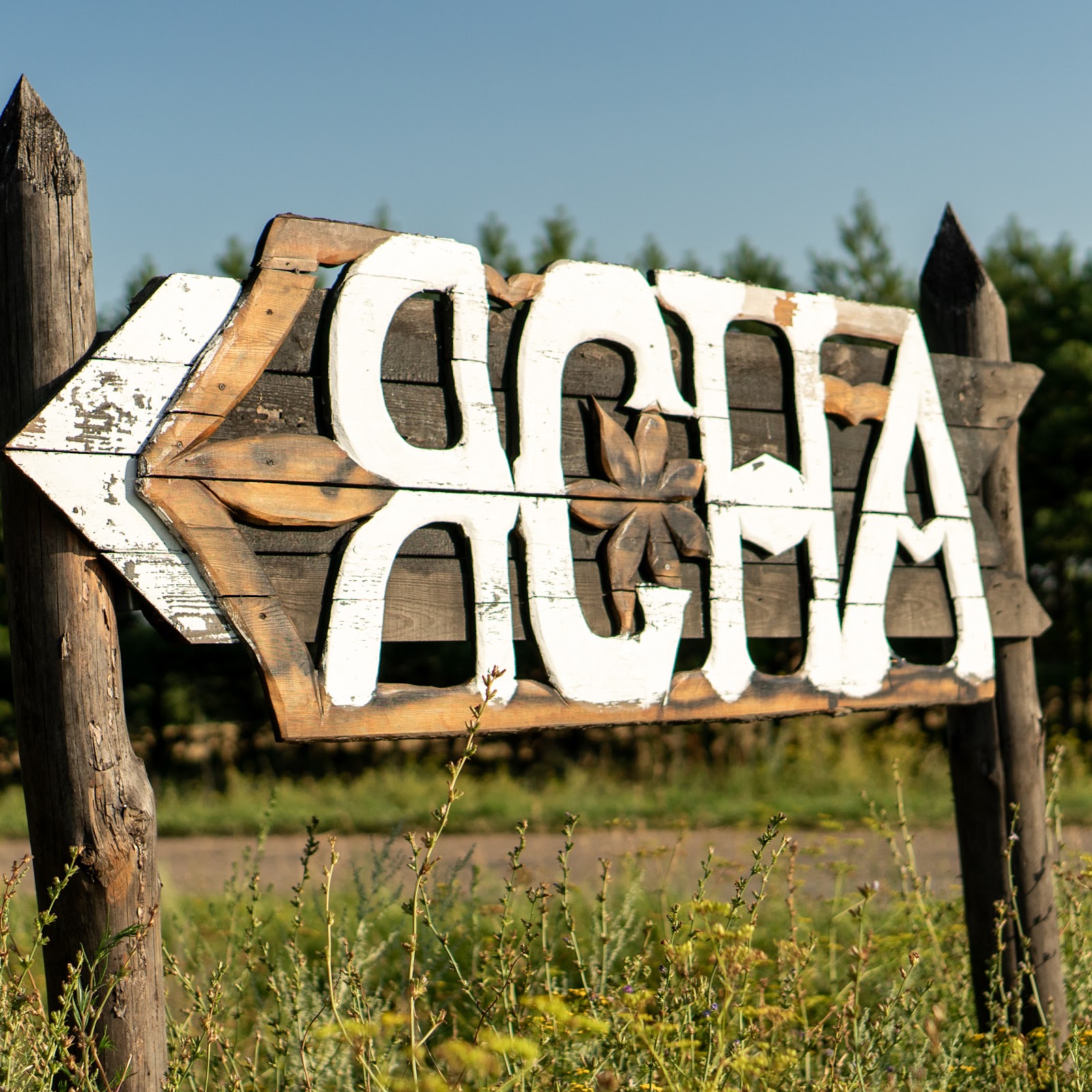 Ясна Тур - photo 4