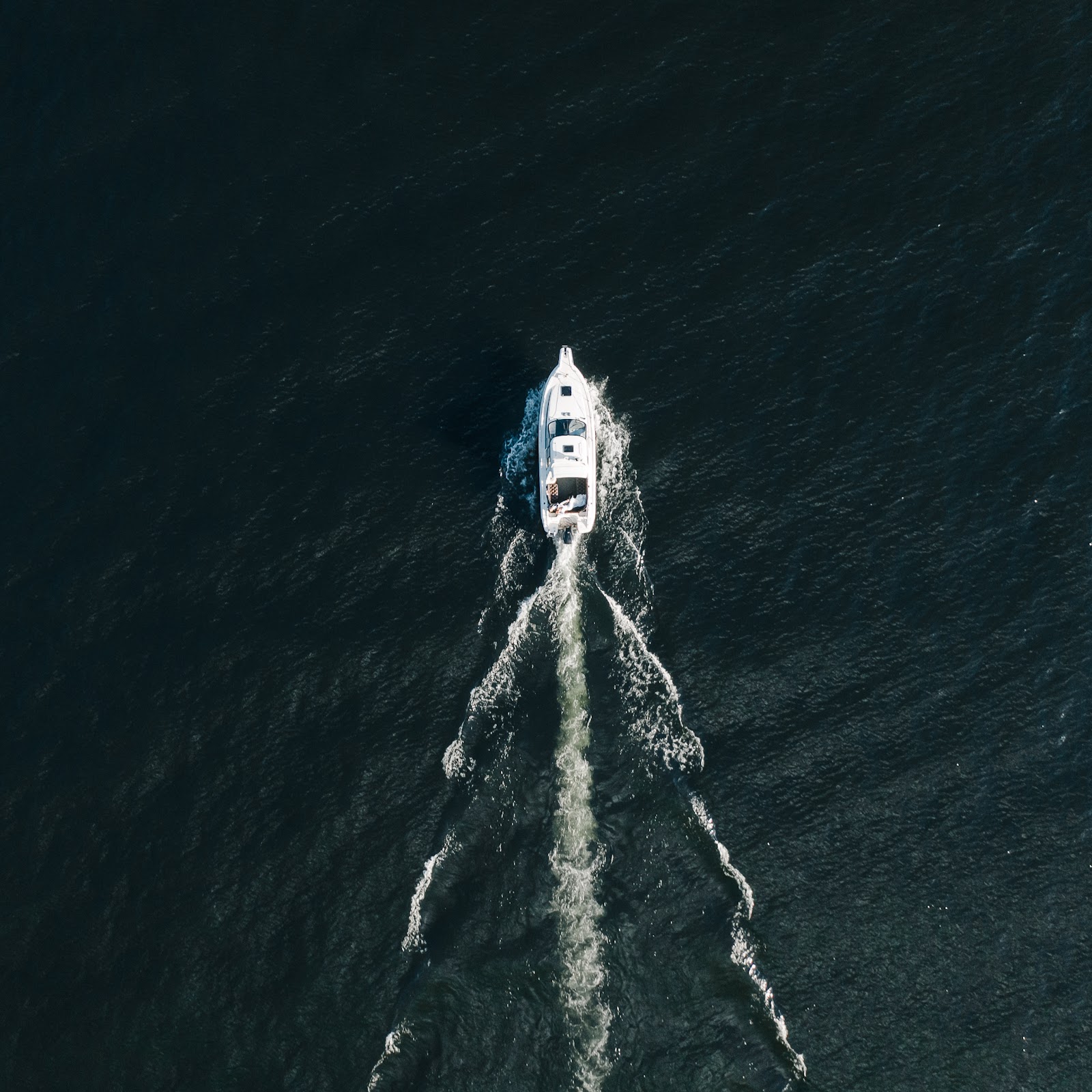 Алтай Тайм - photo 4