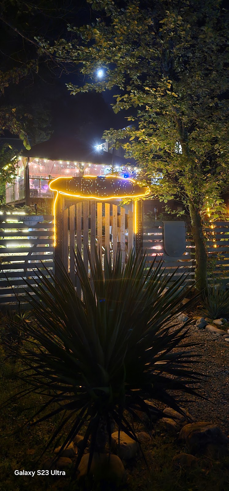 Глэмпинг LAVICON Древо - photo 2