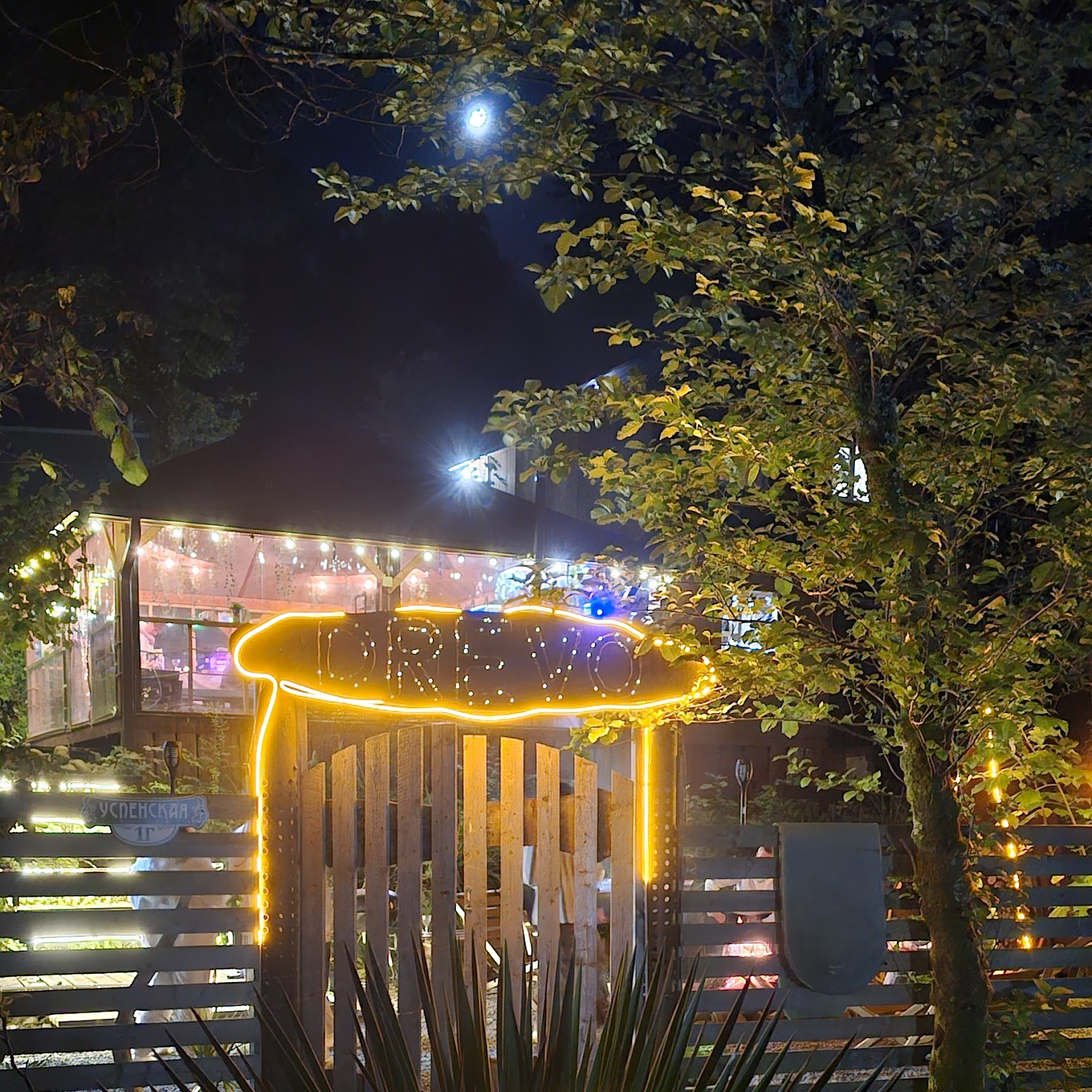 Глэмпинг LAVICON Древо