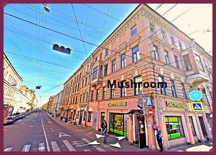 Мини-отель Mushroom24 - photo 1