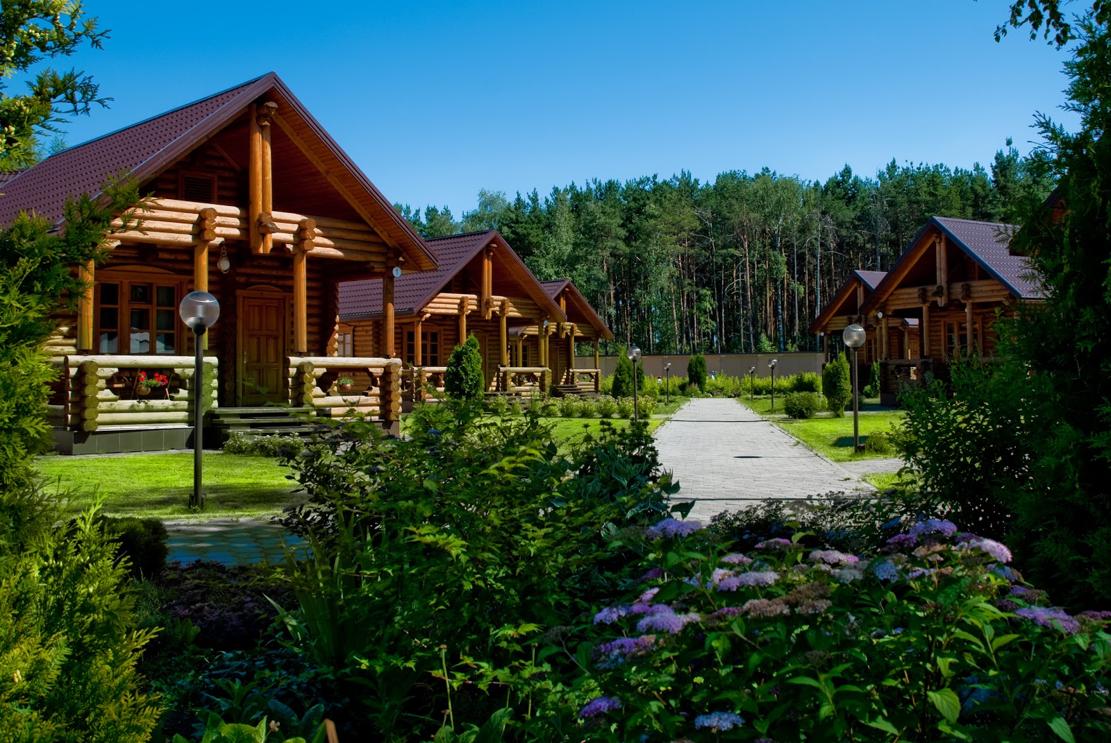 Гостиничный комплекс "Сосновый Бор" - photo 4