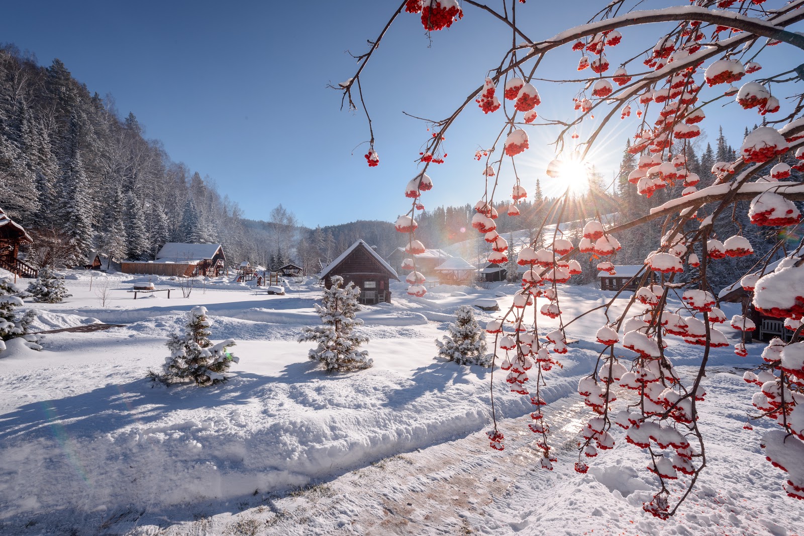 Таежная заимка Лесная сказка - photo 5