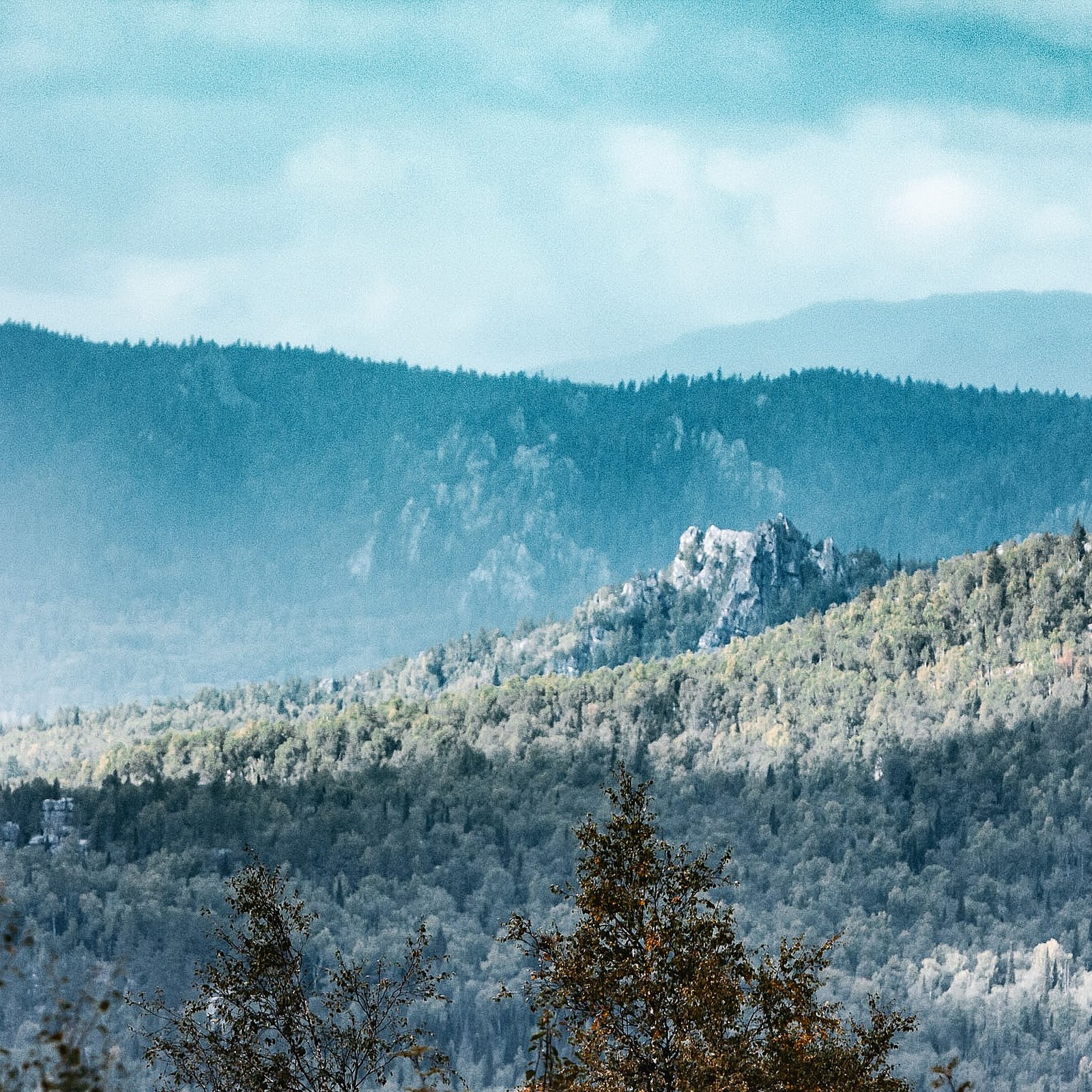 Парк Малидак