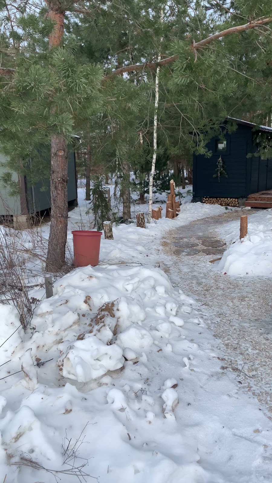 TinyDacha Можжевельник - photo 3