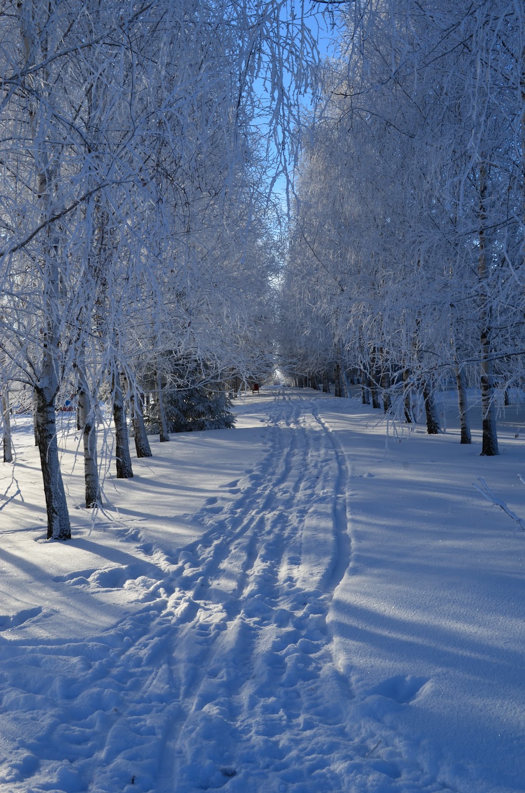 Горнолыжный клуб Леонида Тягачева - photo 3