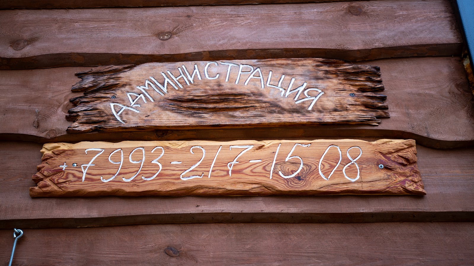 База отдыха Заветное - photo 5