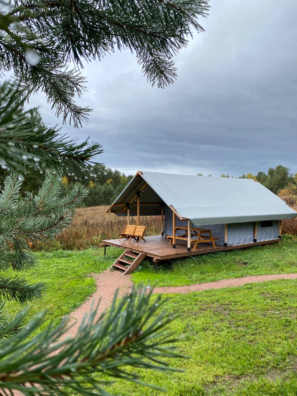 Йети на комете