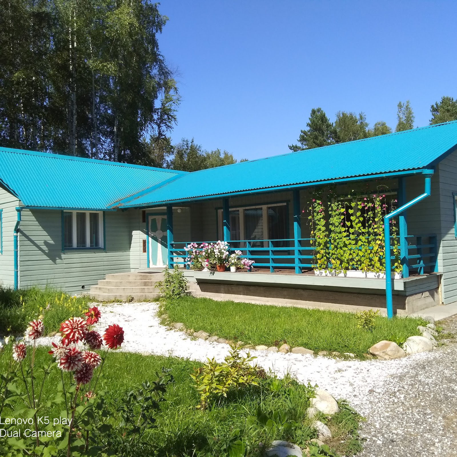 Лесорёк - photo 2