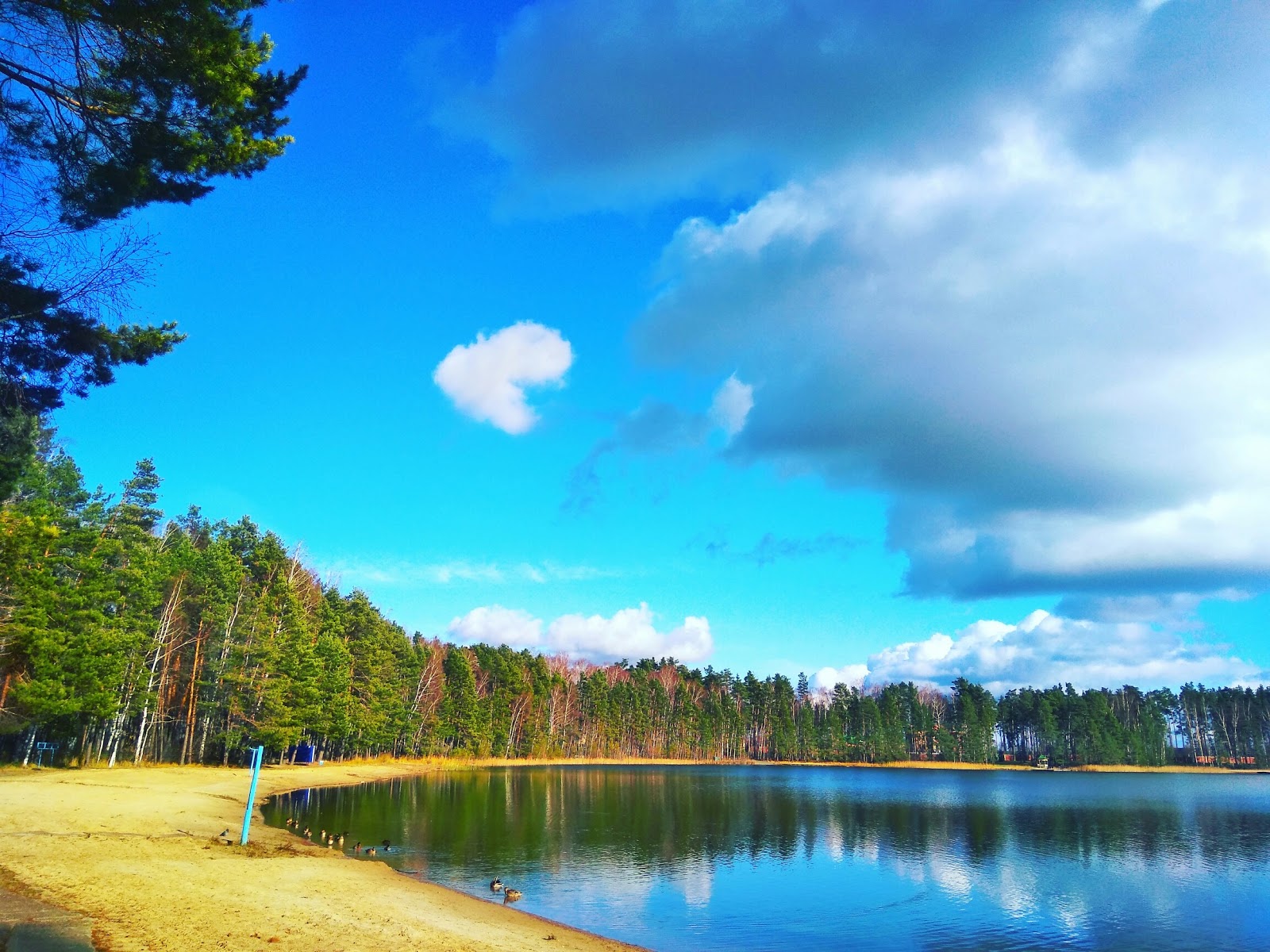 Санаторий "Сосновый бор" - photo 3