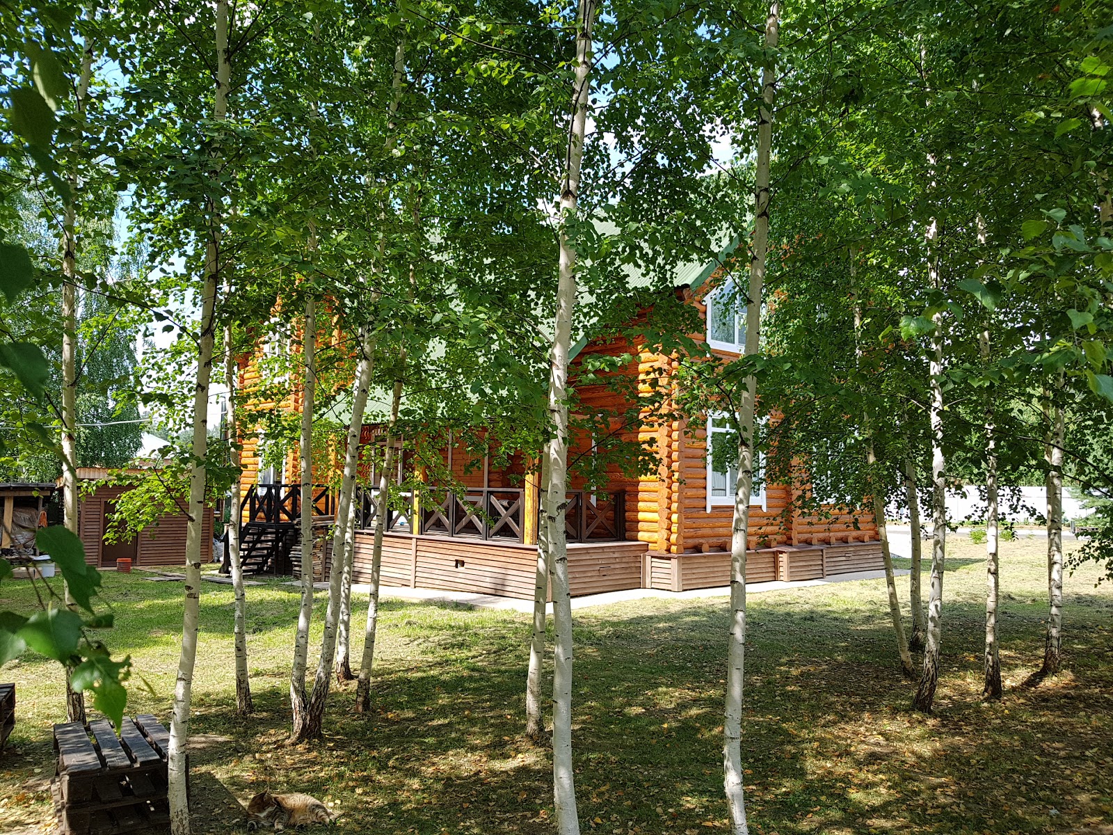 Толстый Кот - photo 4