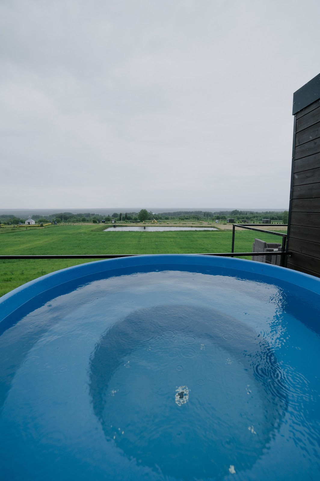 Экопарк Новое Кузьминское - photo 5