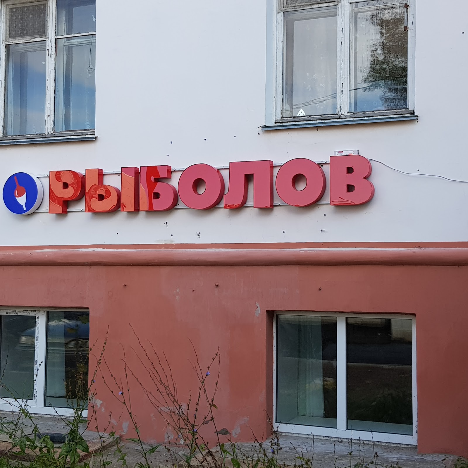 Сафари - photo 3