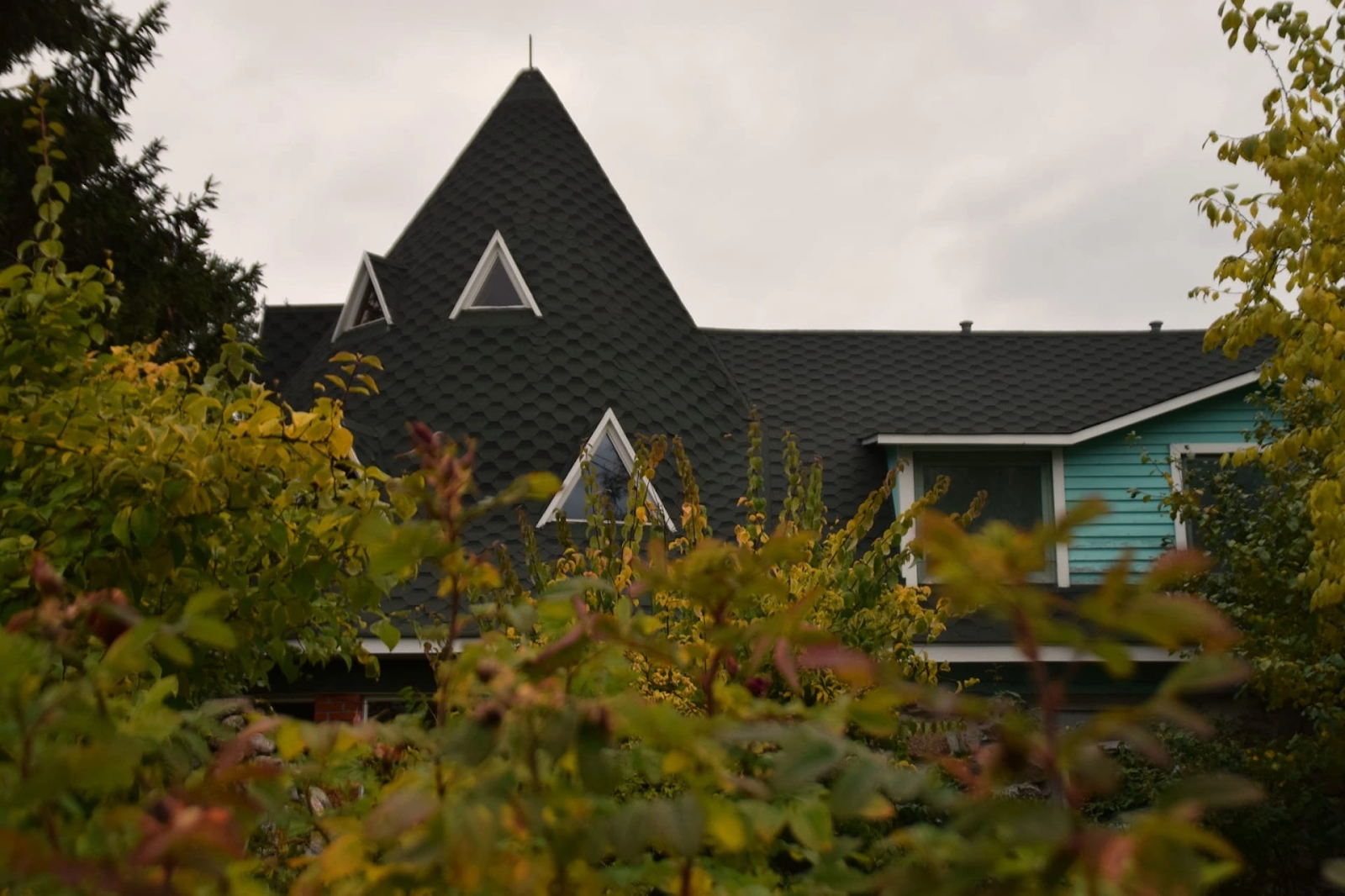 Хутор старая Кууса - photo 4