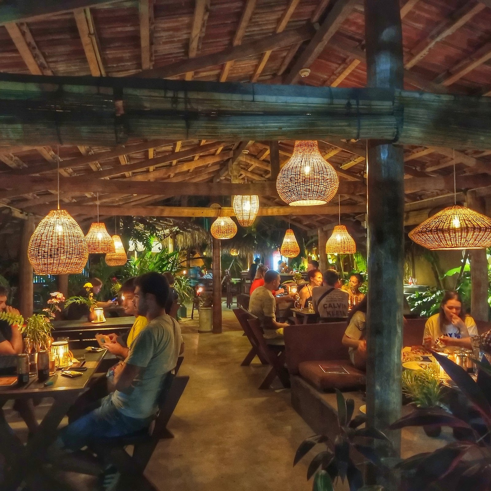 Аралия - photo 3