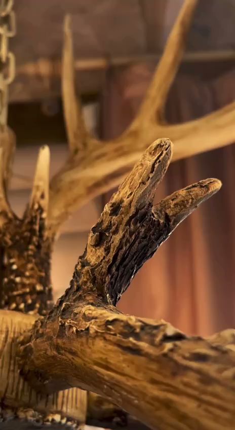 Дизайн - Отель Шампань - photo 3